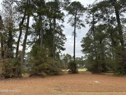 Scenic Lot in Brunswick Plantation
