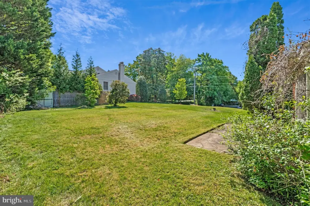 Picture 8