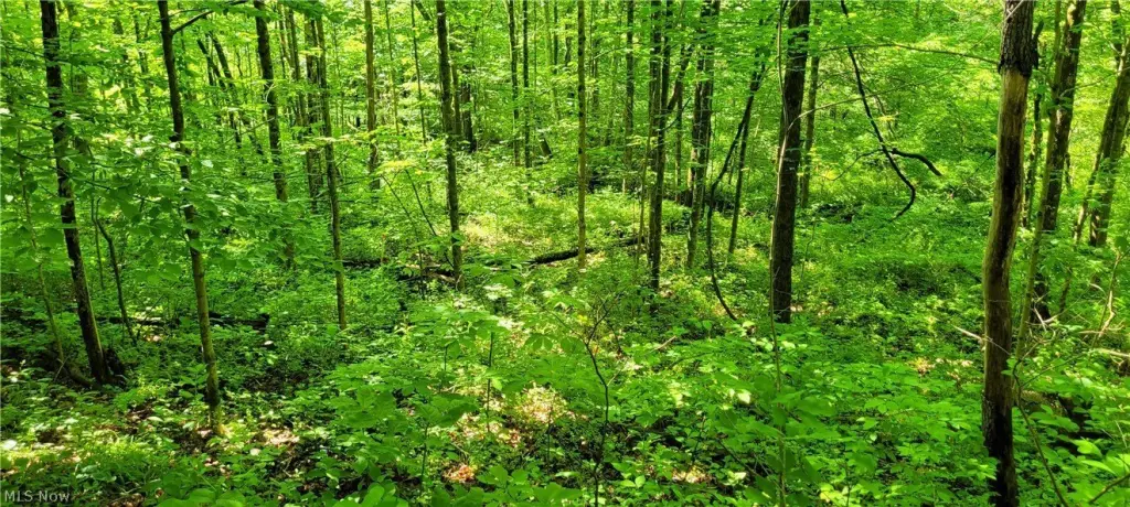 Picture 12