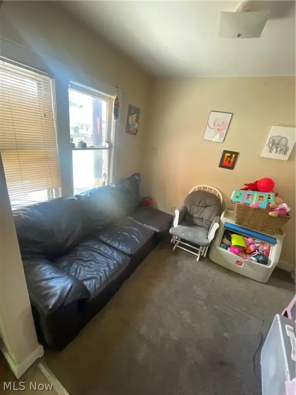 Picture 11