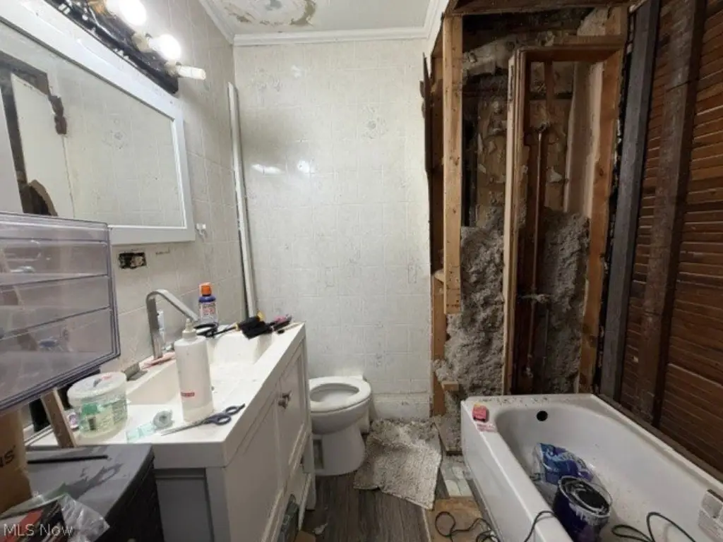 Picture 11