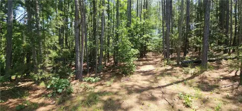 Unrestricted Land in West Union