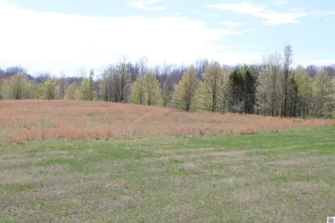 Kuttawa, KY Versatile Lot