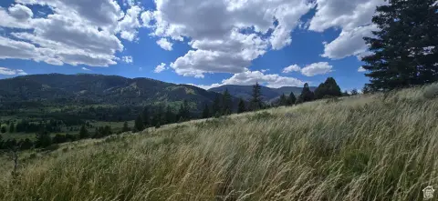 Recreational Lot Near Pebbly Creek