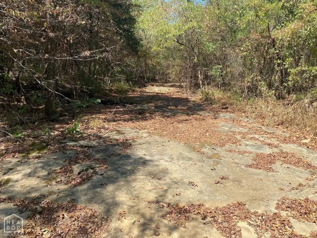 Picture 4