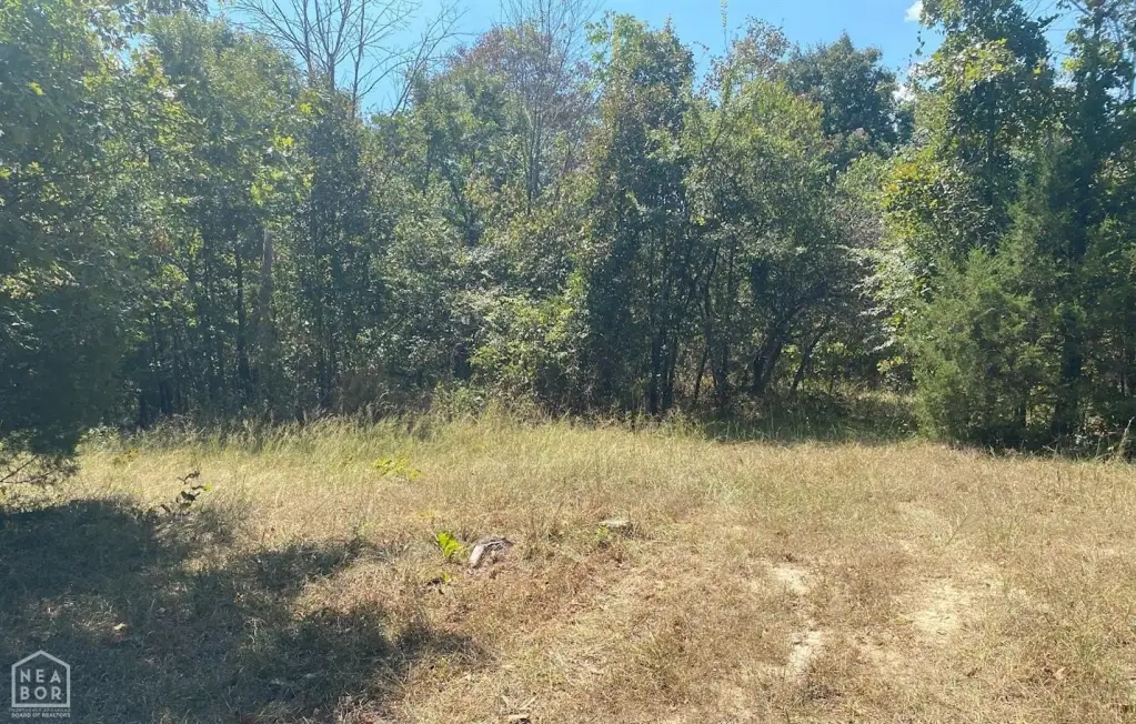Picture 19