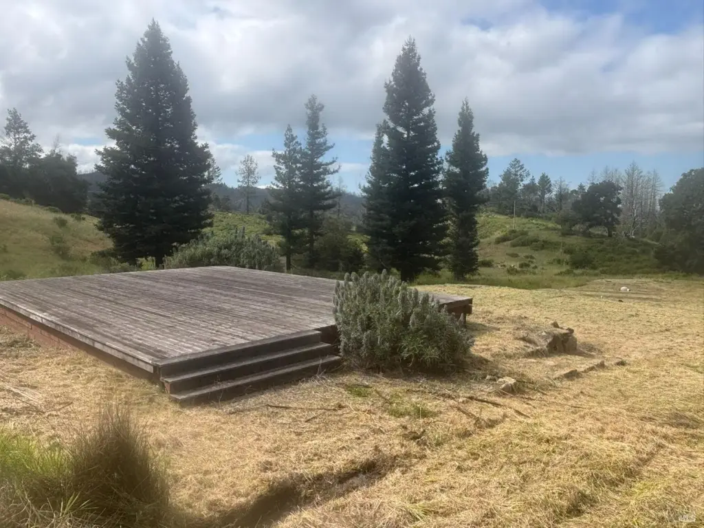 Picture 19