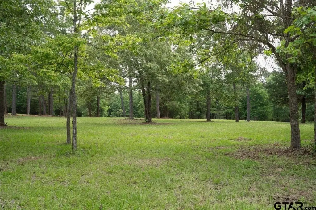 Picture 25