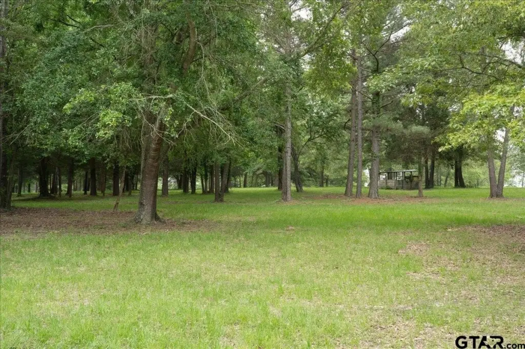 Picture 18