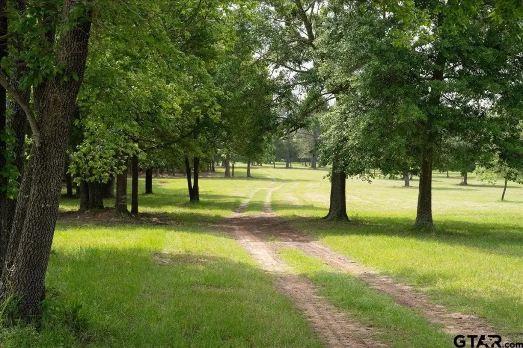 Picture 24