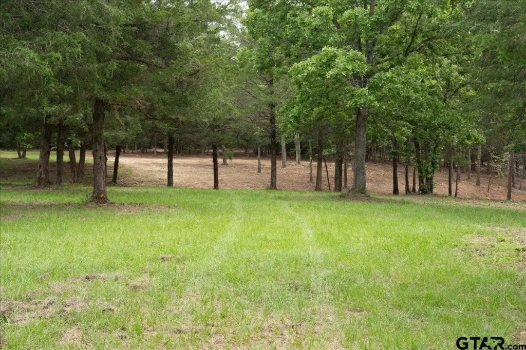 Picture 19