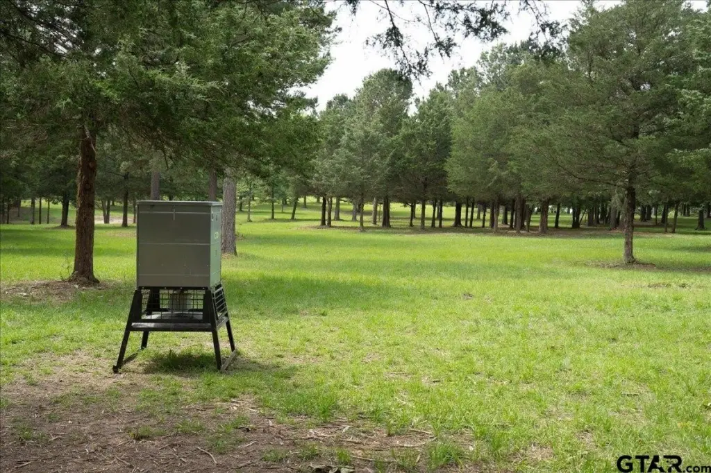 Picture 9