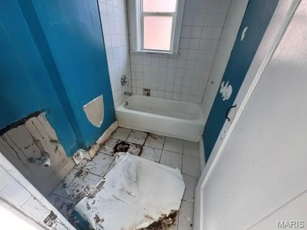 Picture 19