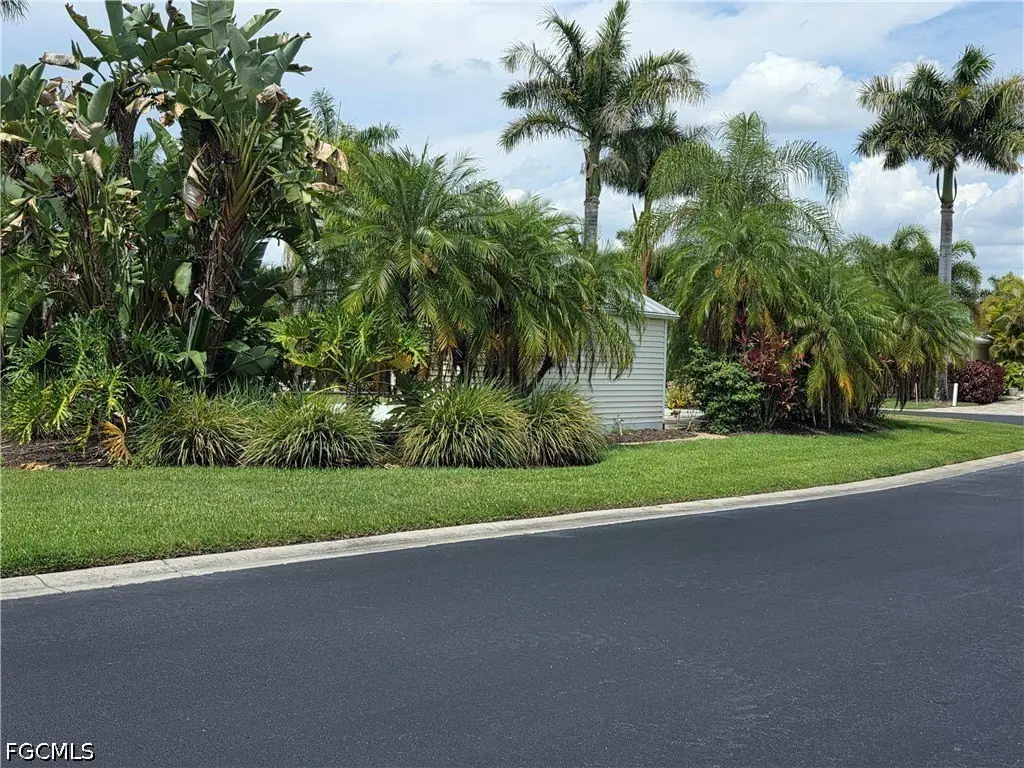 Picture 23