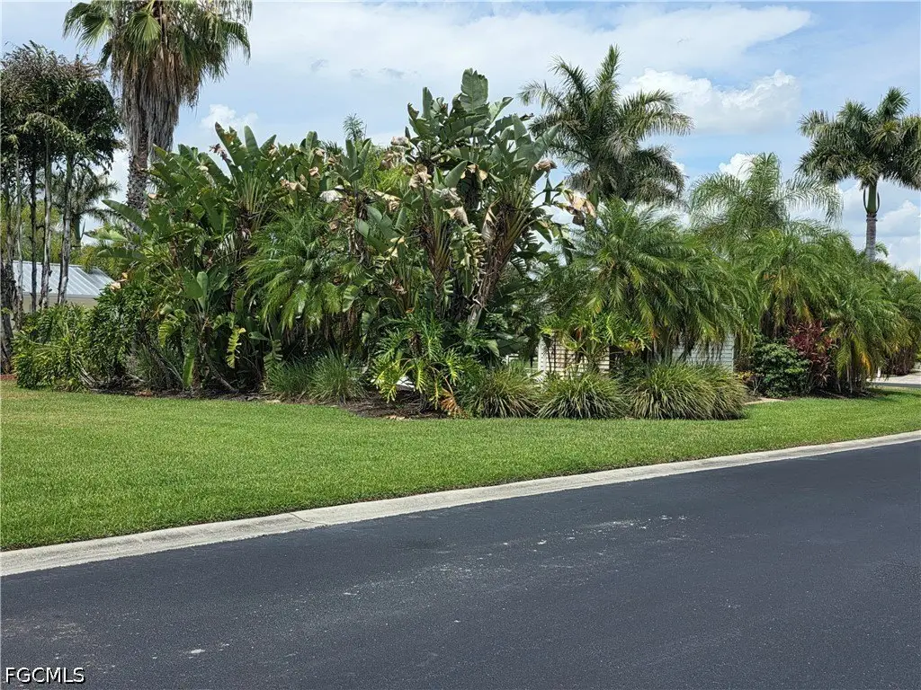 Picture 21