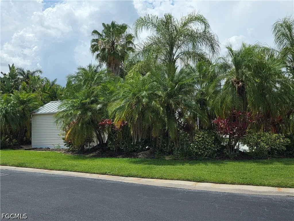 Picture 20