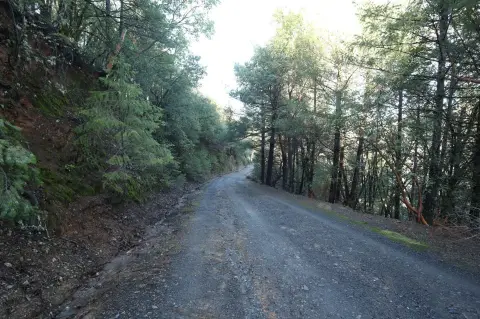 Oak Run Land For Sale