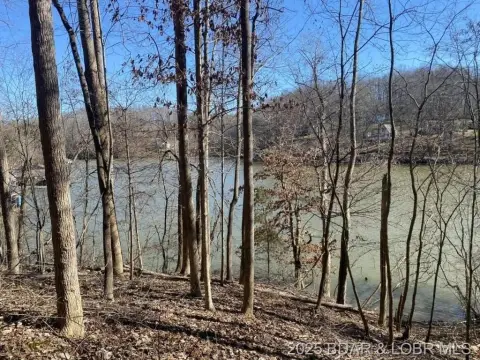 Ozark Land with Lake Views