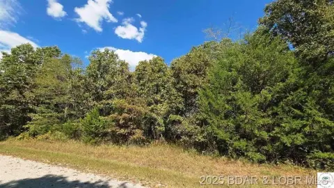 Wooded Lot in Gated Community