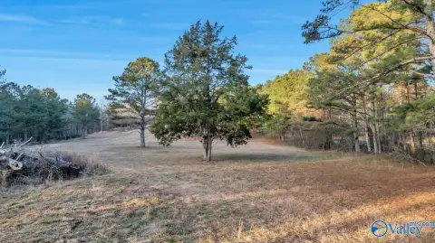 15 Acres on Lookout Mountain