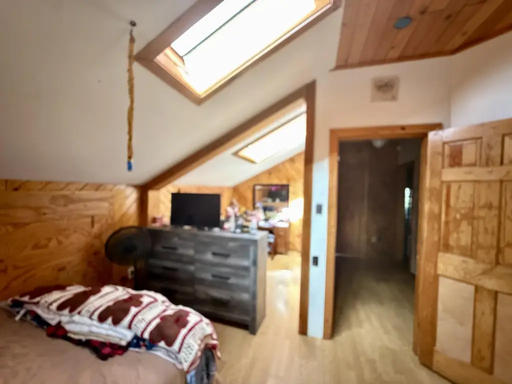 Picture 19