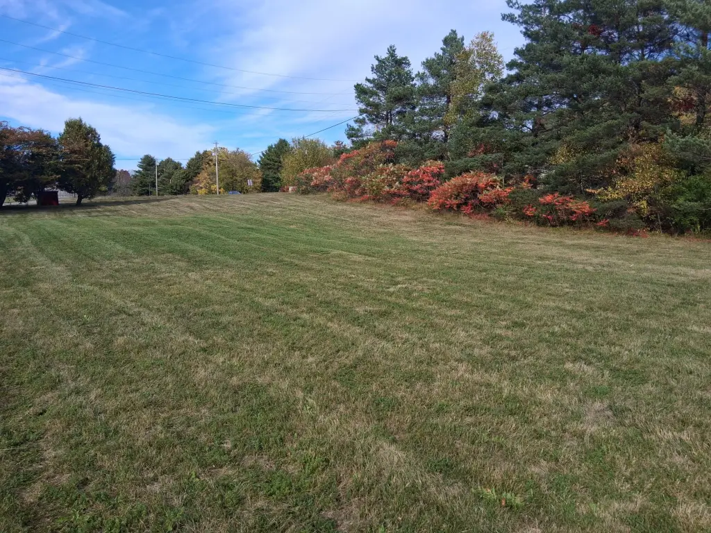 Picture 48
