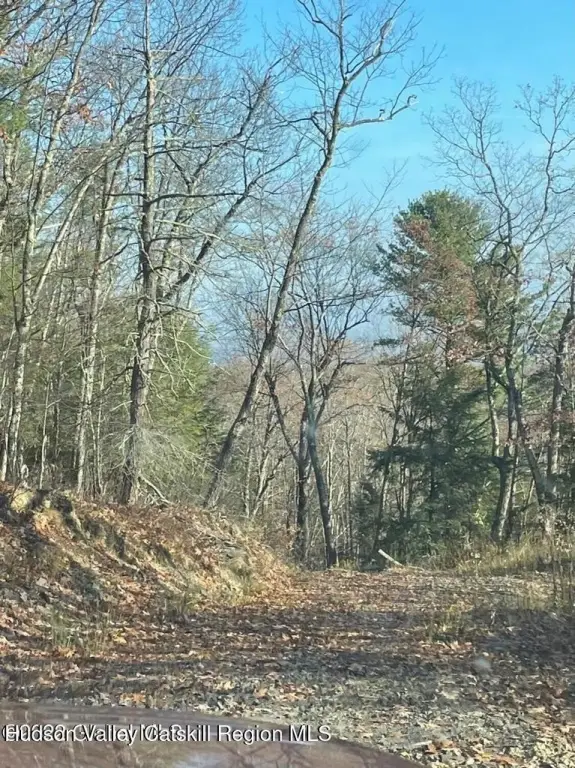 Picture 21