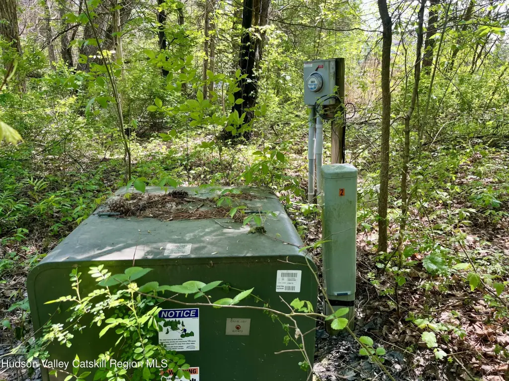 Picture 5