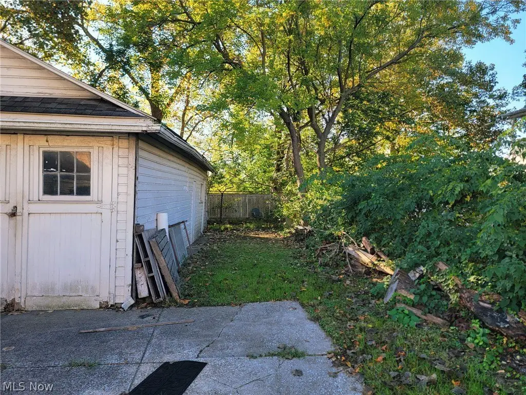 Picture 28
