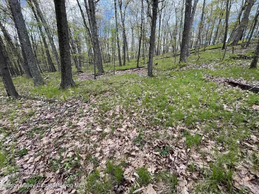 Picture 13