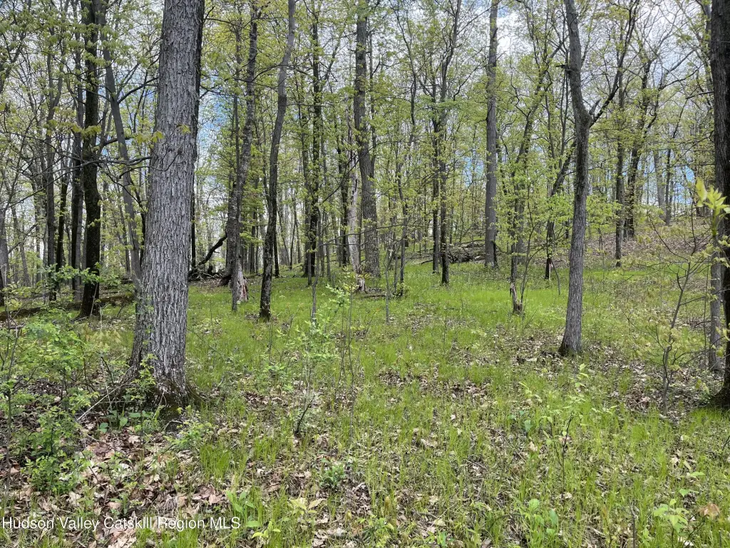 Picture 14
