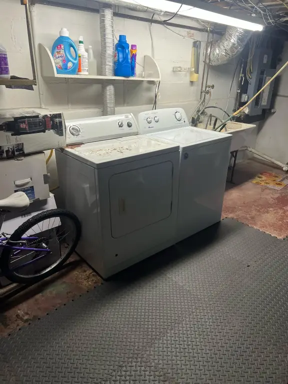 Picture 17