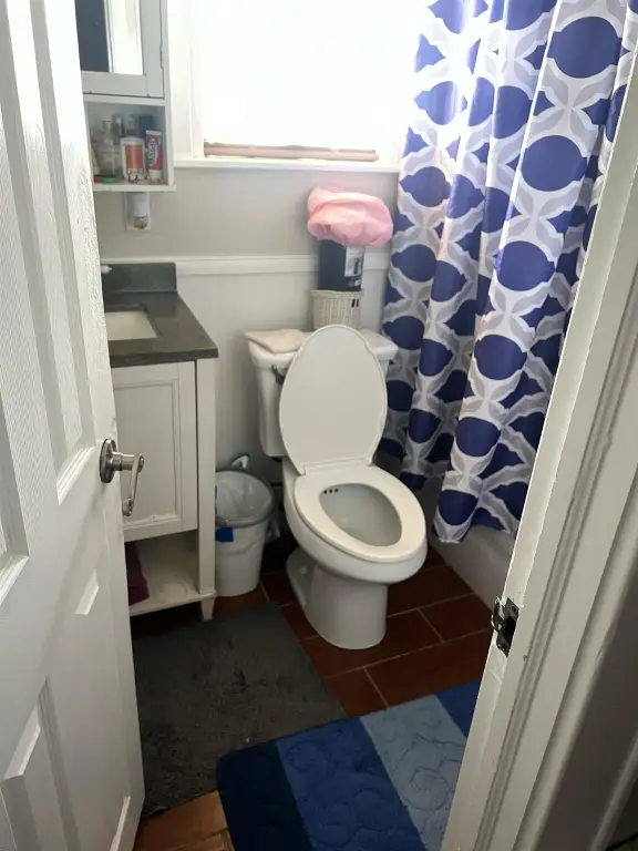 Picture 21