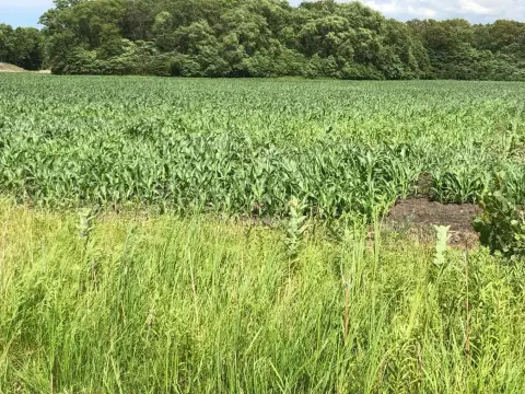 5 Acres of Unimproved Land