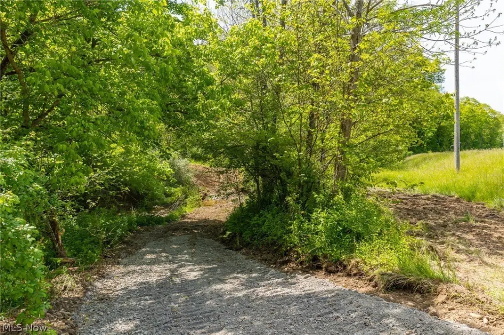 Picture 23