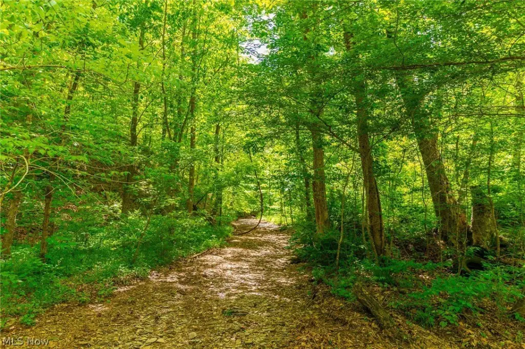 Picture 25