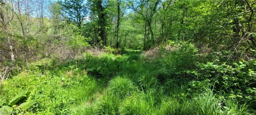 Picture 48