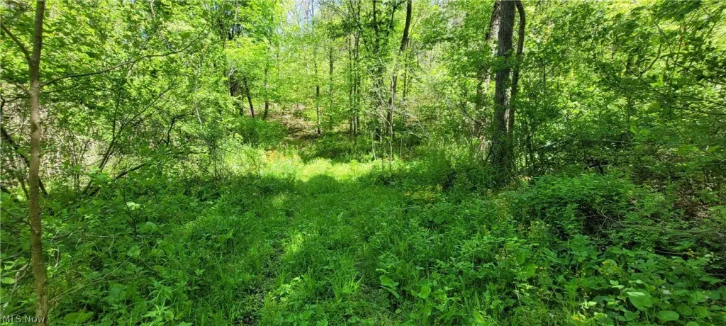 Picture 45