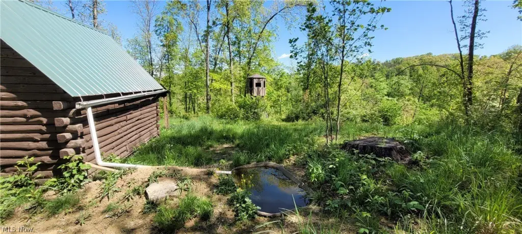 Picture 8