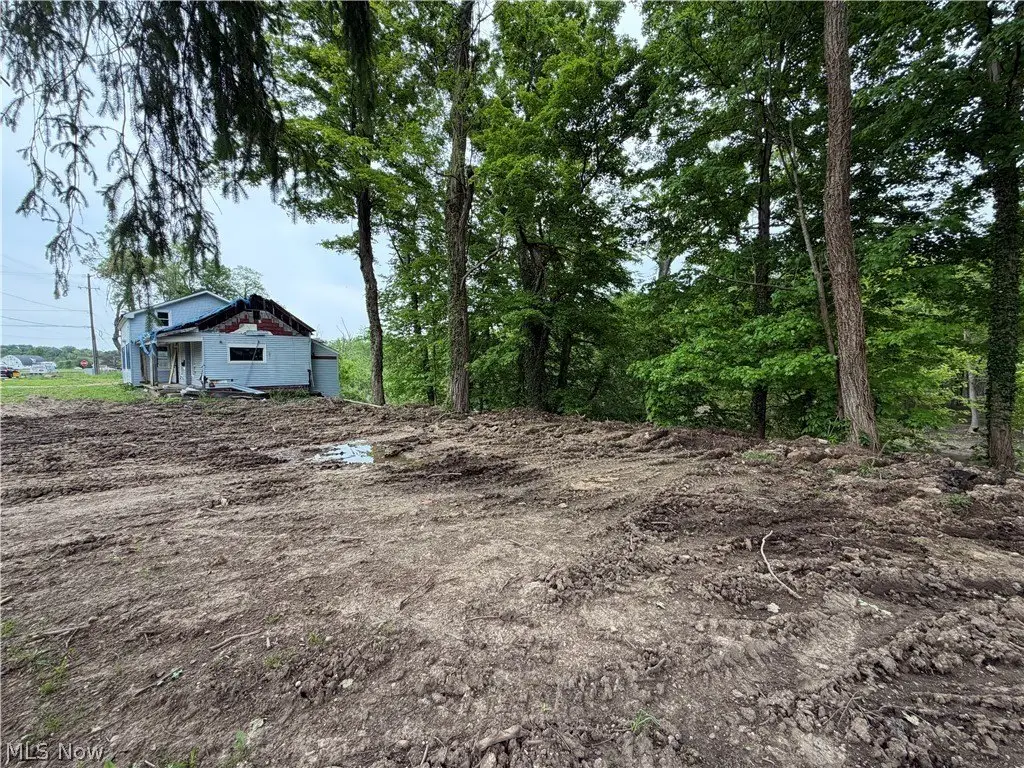 Picture 4