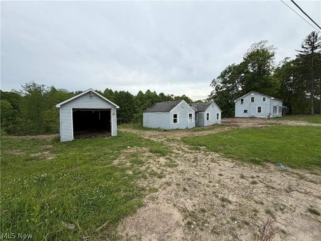 Picture 21