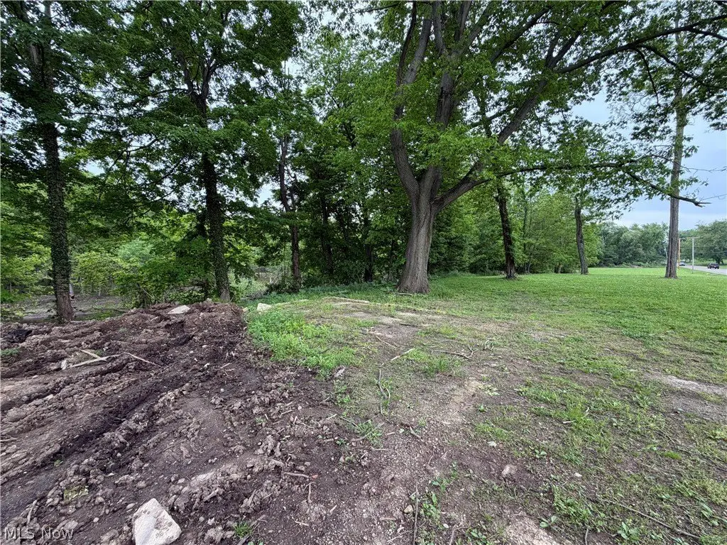 Picture 5