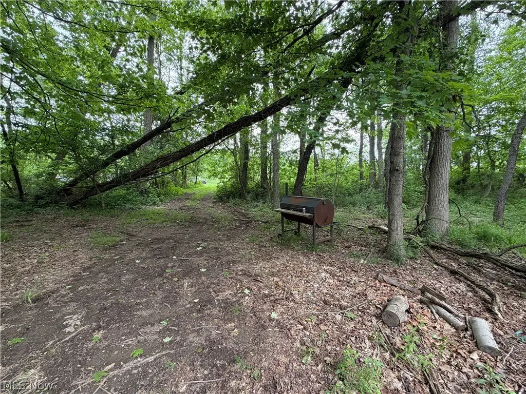 Picture 6