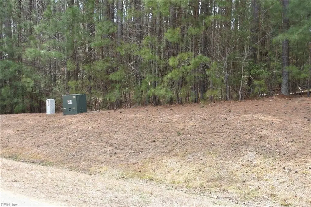 Picture 3