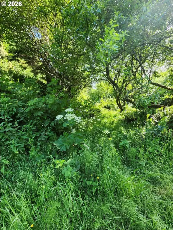 Picture 25