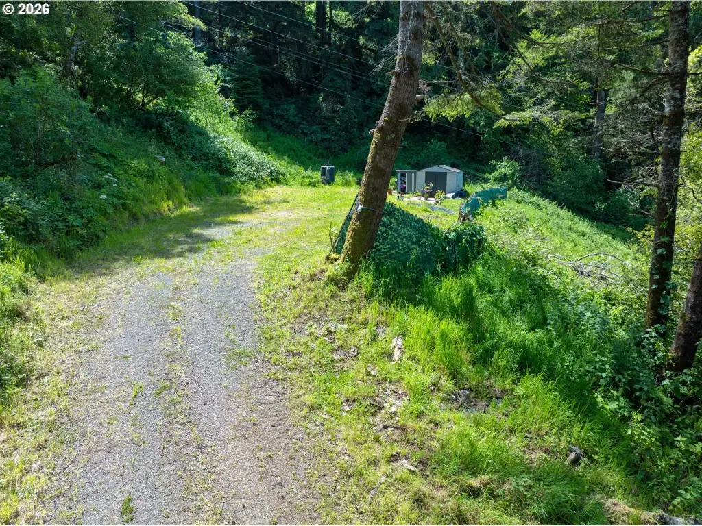 Picture 5