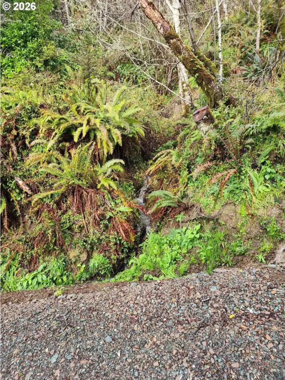 Picture 20