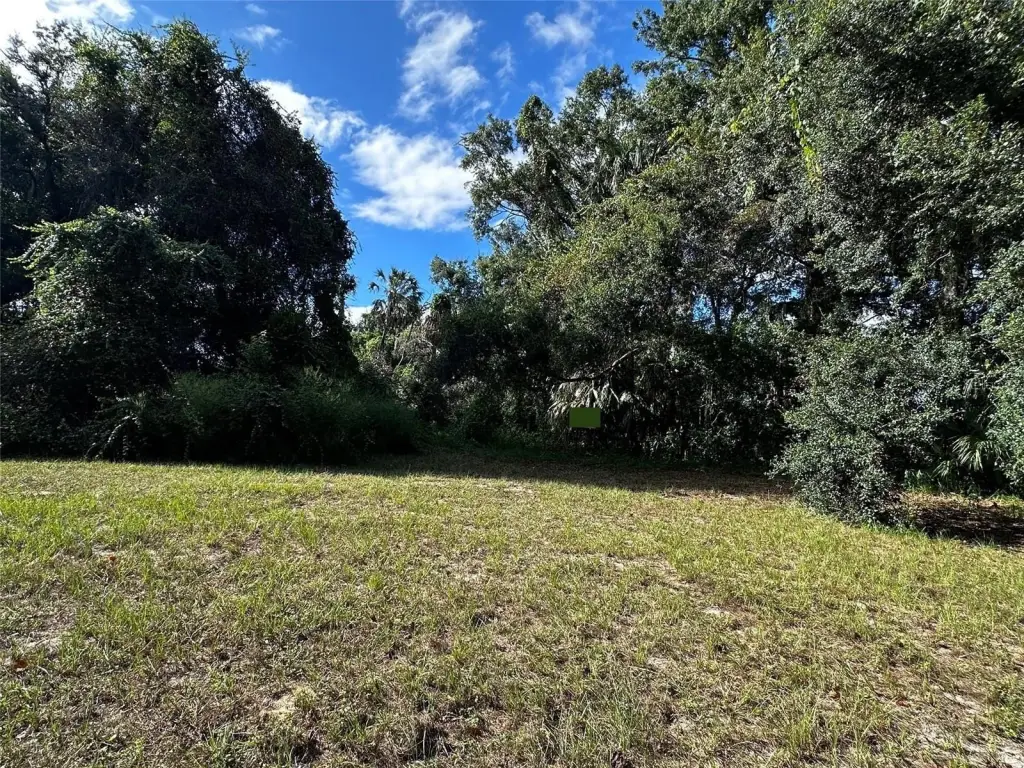 Picture 6
