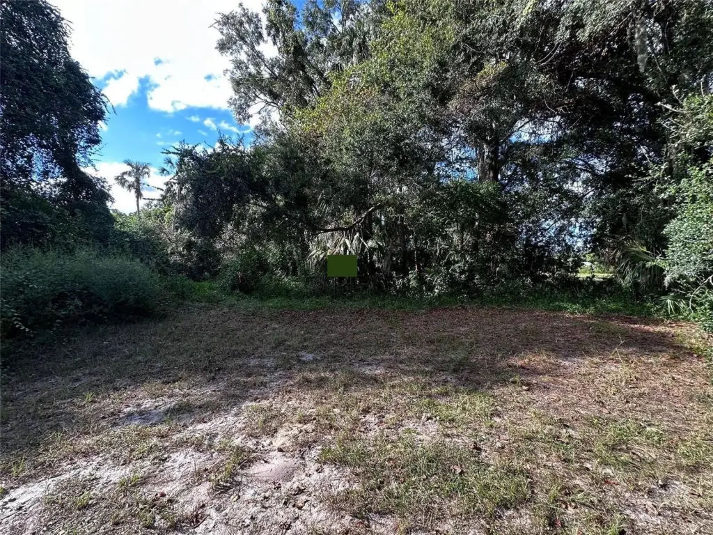 Picture 23