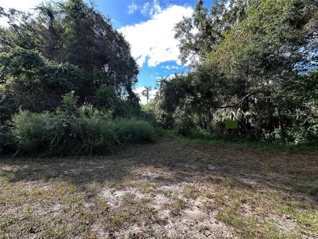 Picture 10